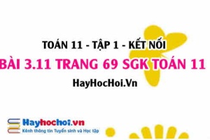 Giải bài 3.11 trang 69 Toán 11 tập 1 SGK Kết nối tri thức